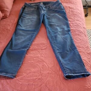 Classic Indigo Straight Leg Jeans, Size 4